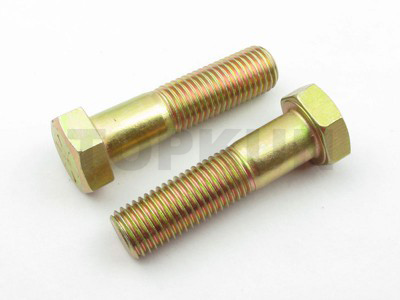 Hex cap screw