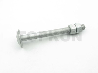 Step bolt