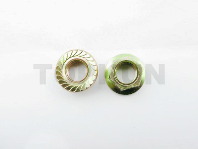 Hex Flange Nut